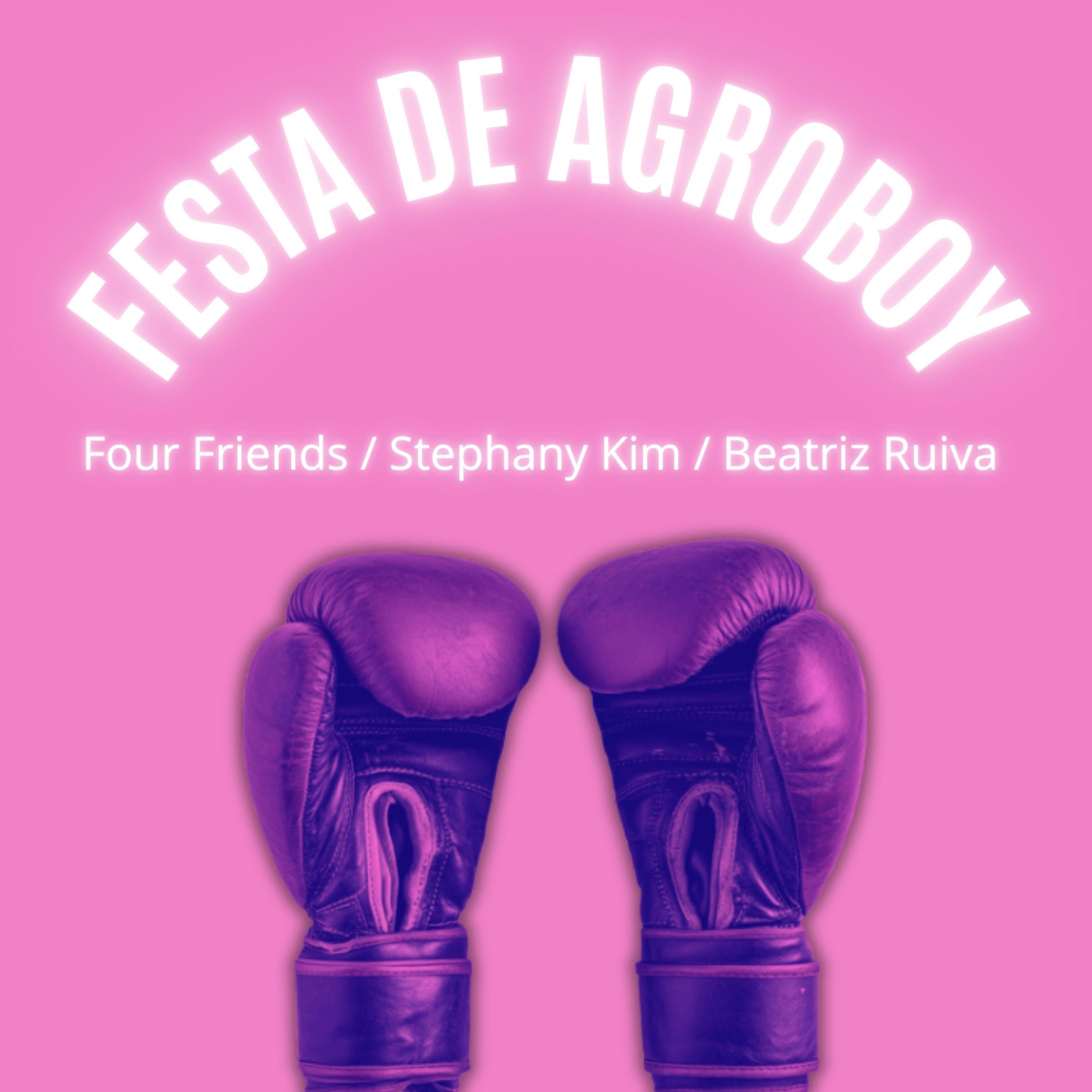Festa de Agroboy