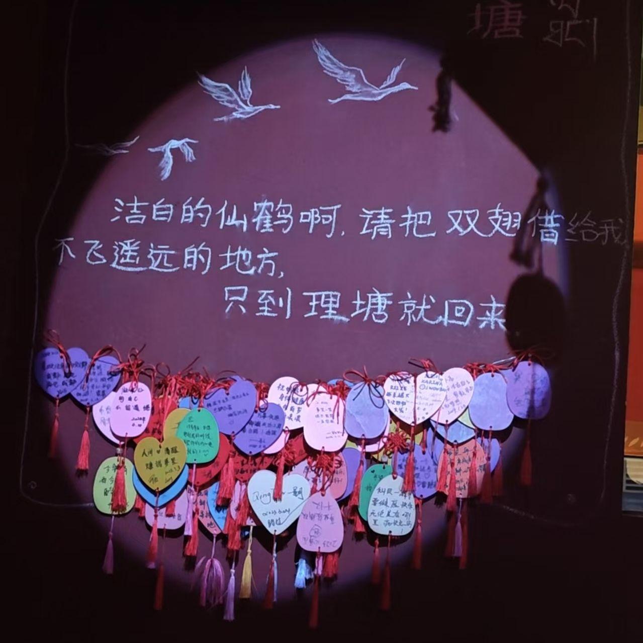 不煽情封面