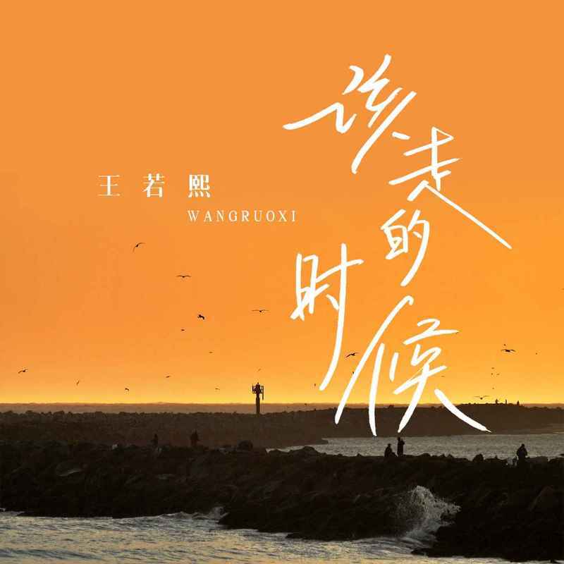 该走的时候封面