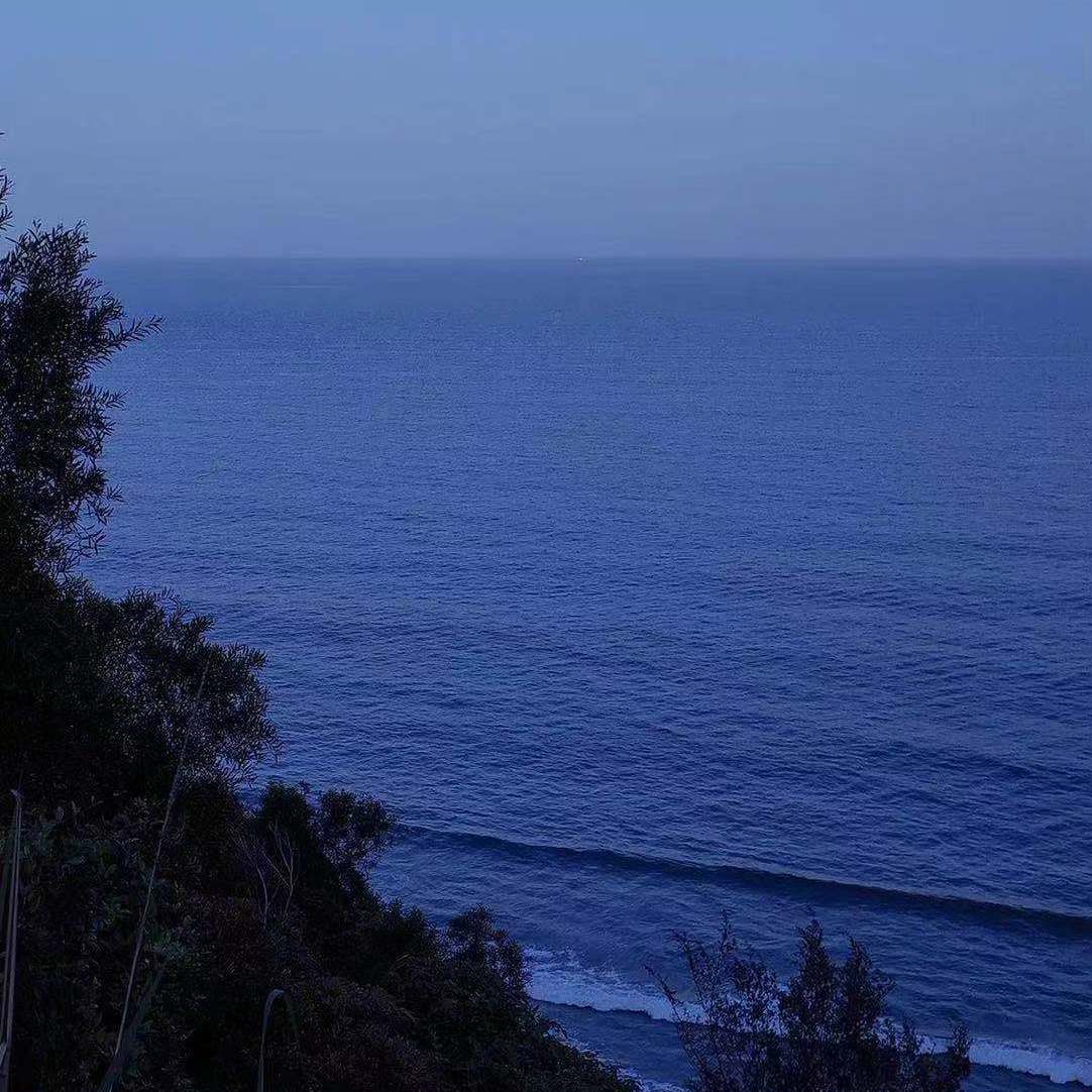 同花顺（cover：林倛玉）