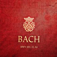 J. S. Bach Cantatas: BWV 202, 32, 84