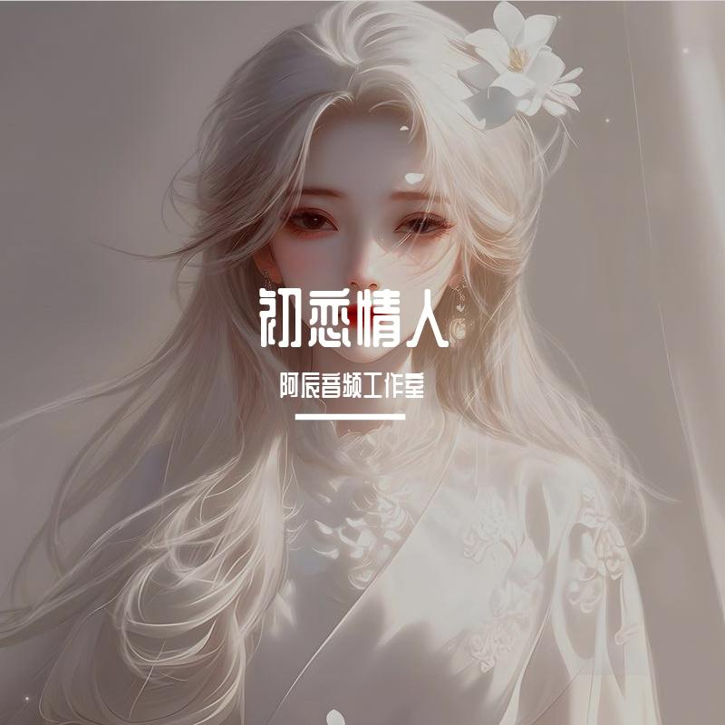 刘小慧-Voice（阿辰音频工作室 remix）