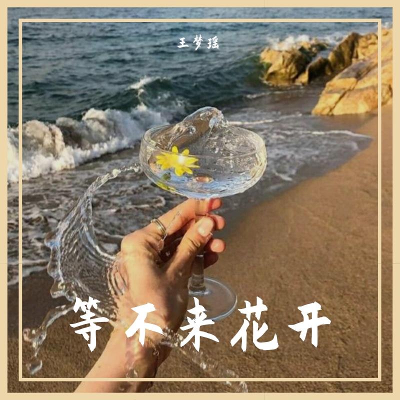 等不来花开封面