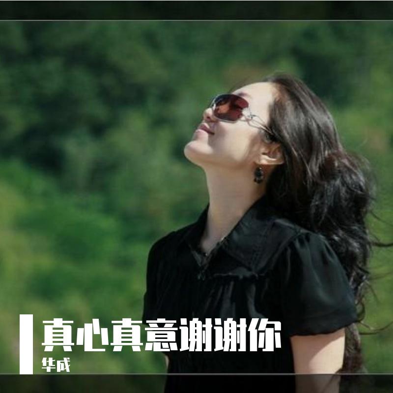 真心真意谢谢你封面