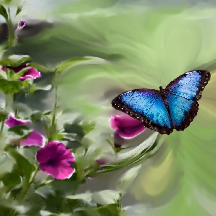 星光(look up the starry sky)