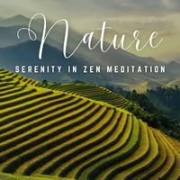 Zen Meditation Moments: Harmonious Sound Journeys