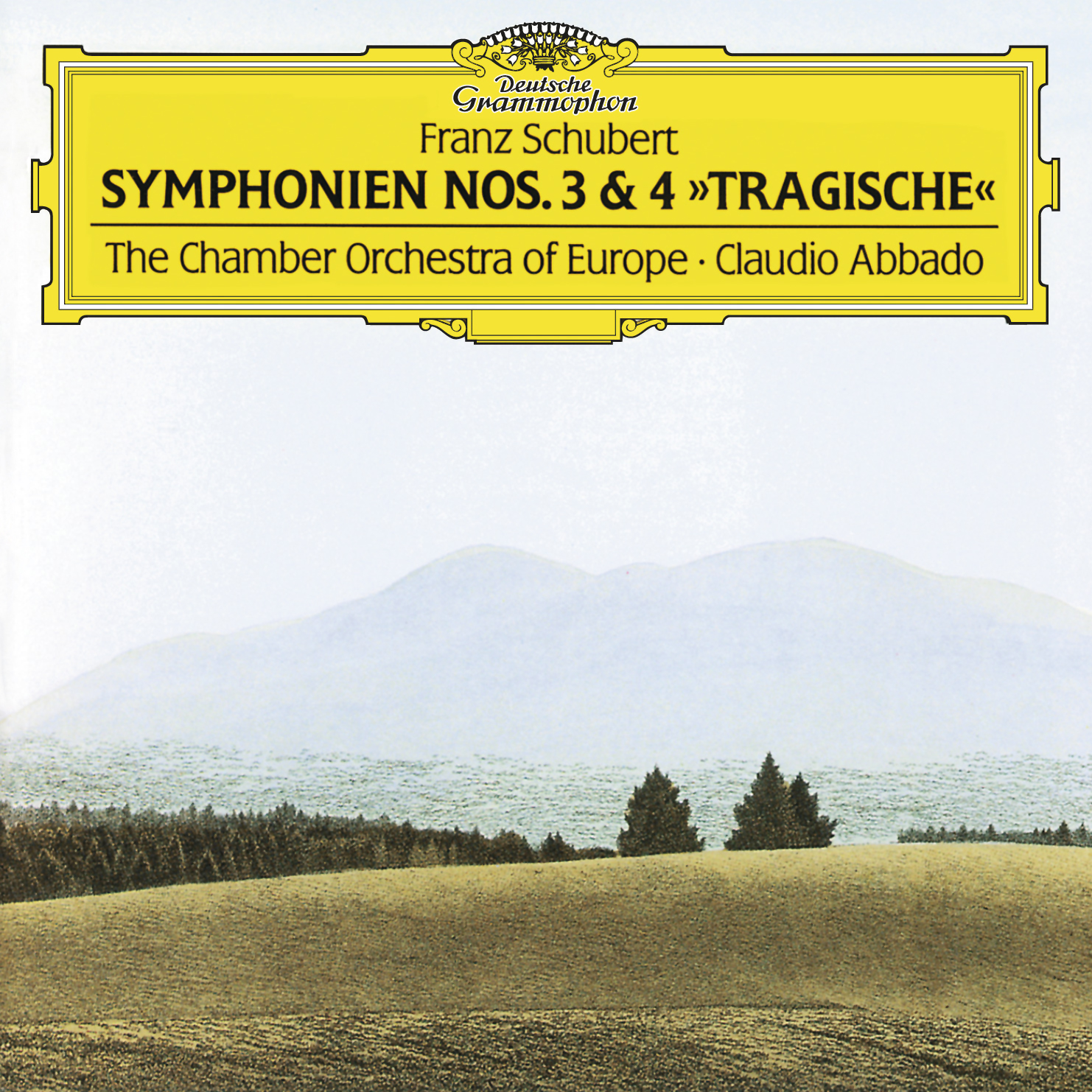Symphony No.4 in C minor, D.417 - "Tragic":4. Allegro