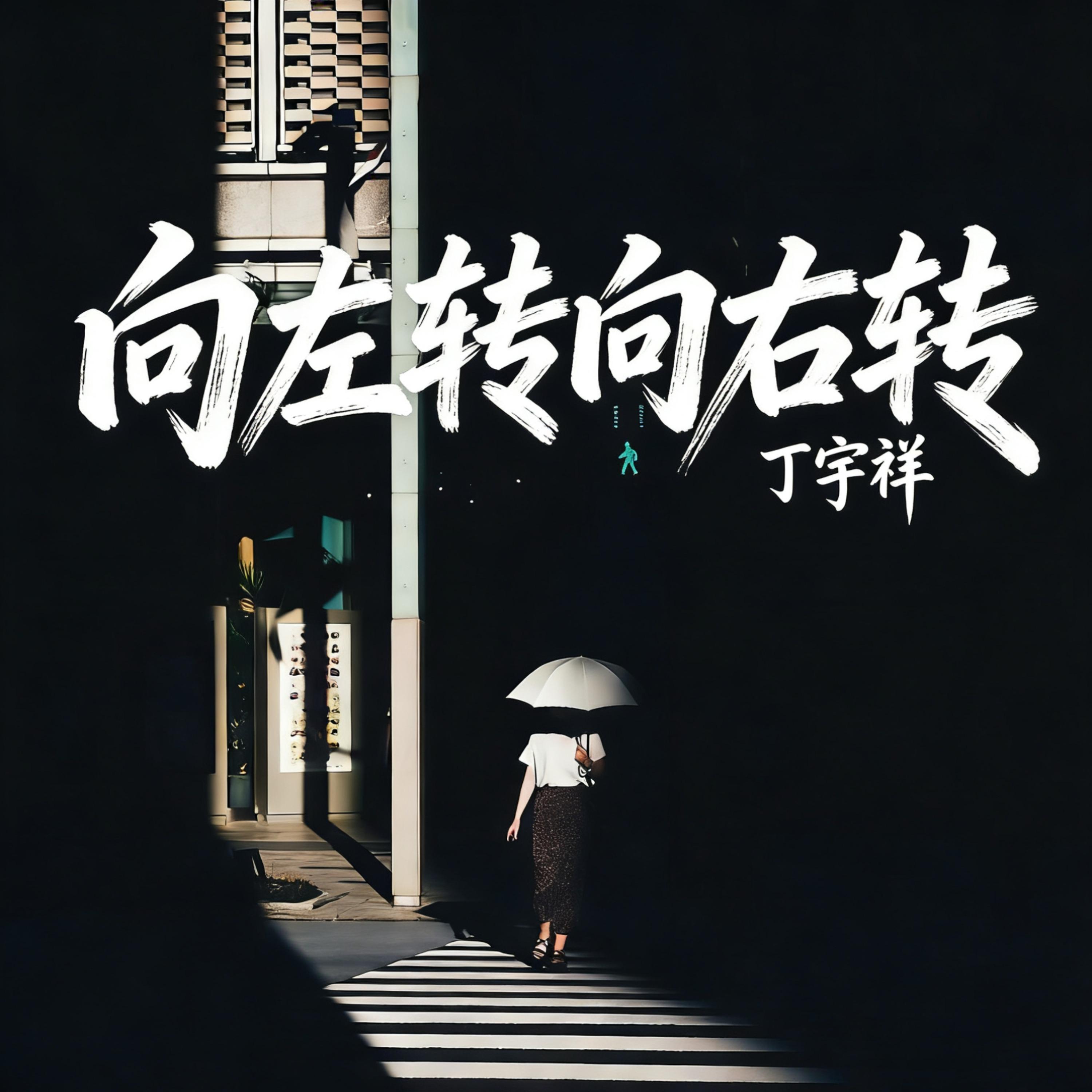 向左转向右转封面