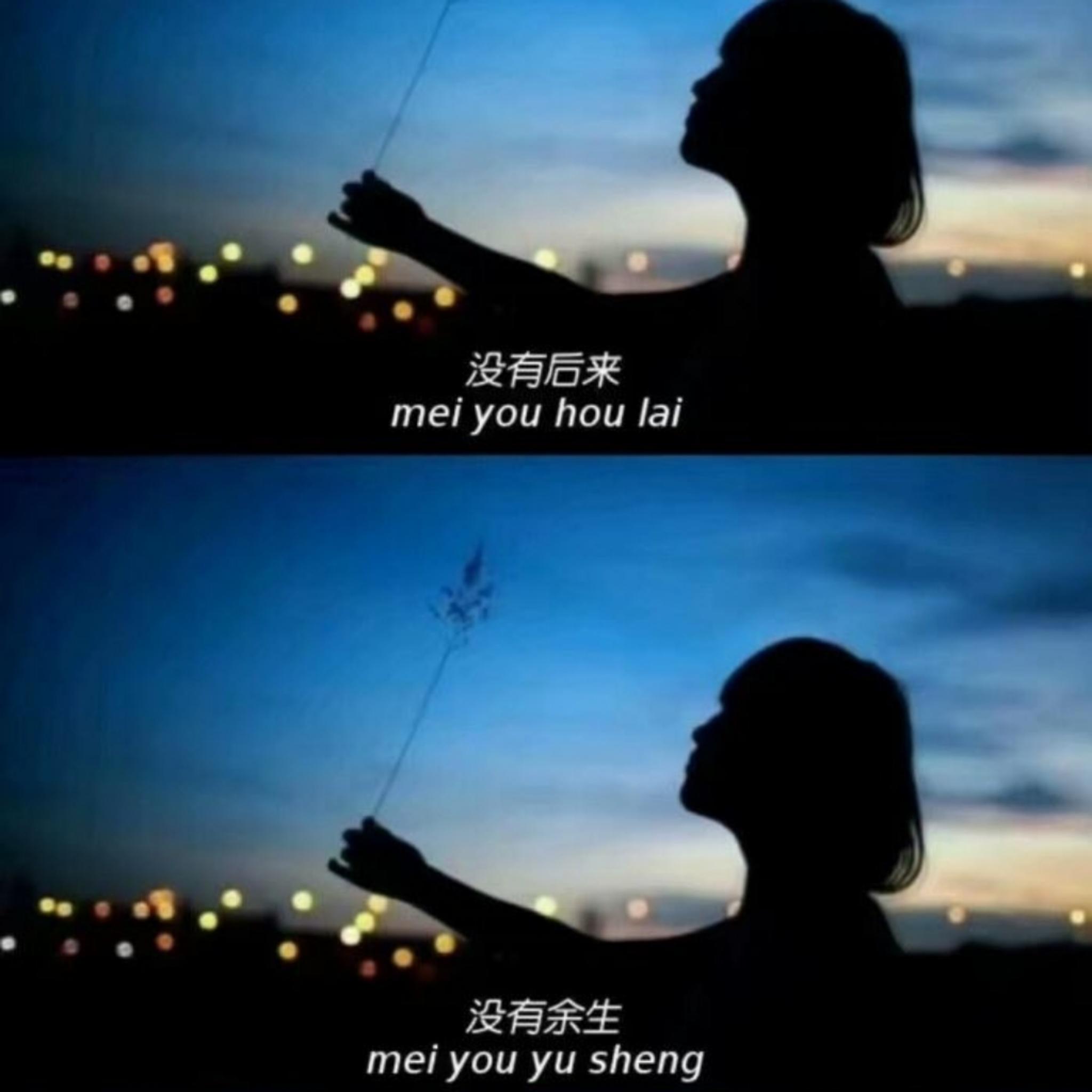 善变 (抖音DJ女版) - 刘昇封面
