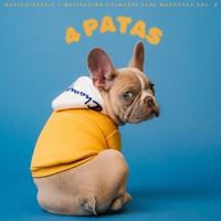 4 Patas: Musicoterapia Y Meditación Calmante Para Mascotas Vol. 2