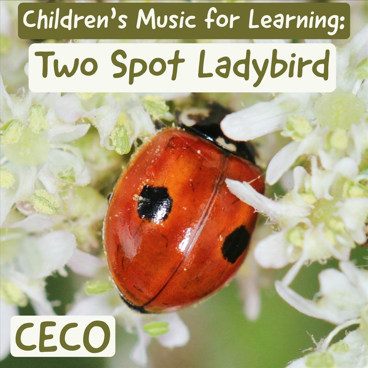 Children's Music for Learning: Two Spot Ladybird