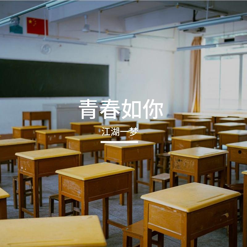 青春如你封面