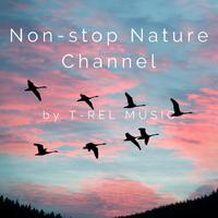 Non-stop Nature Channel