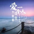 只是太爱你 (DJ版)封面