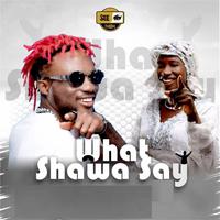 WHAT SHAWA SAY (feat. CECILIA MARFO)