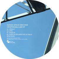 Ornithogallum EP (Digital Version)