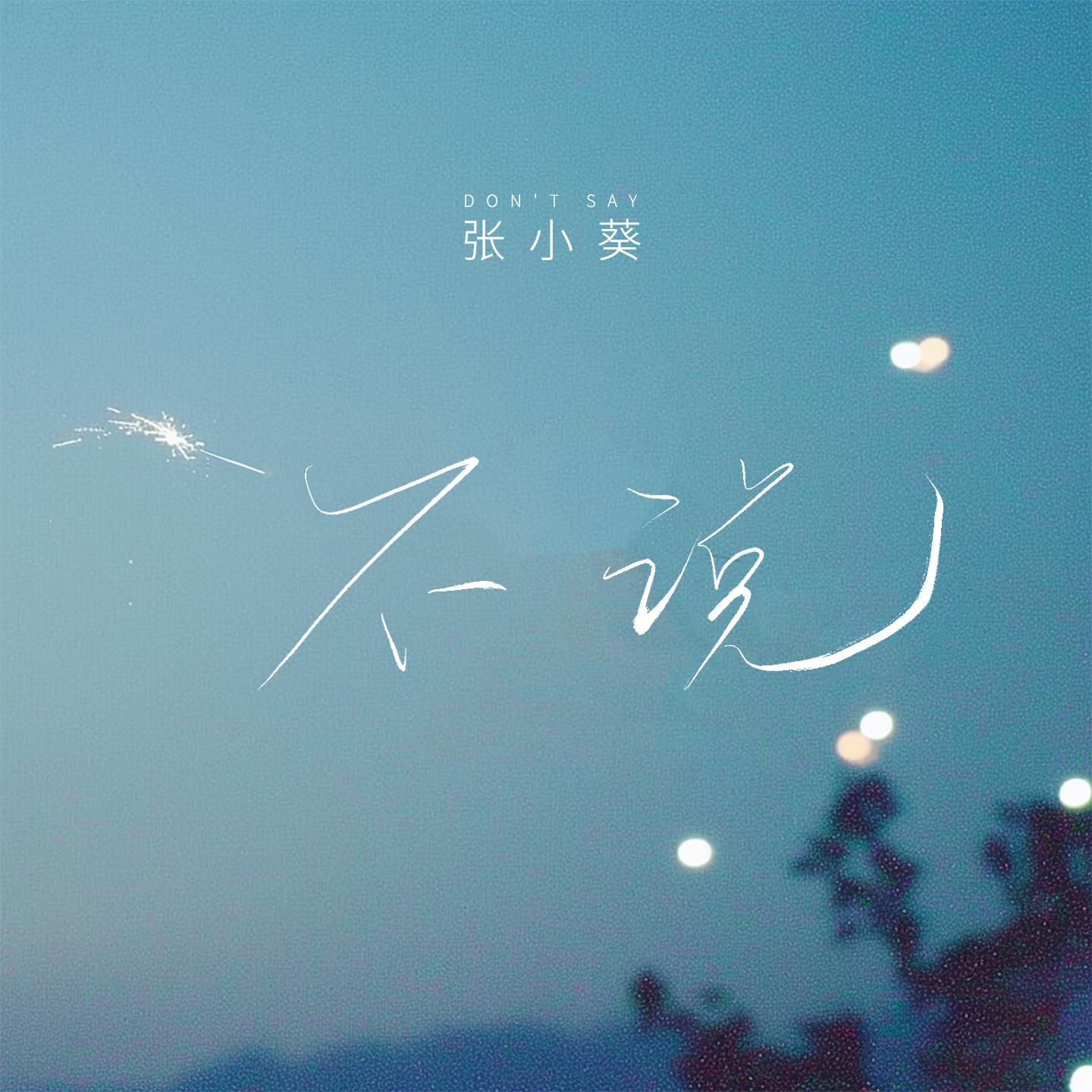不说(伴奏)封面