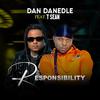 Dan Danedle - Responsibility (feat. T-sean)