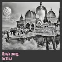 Rough Orange Tortoise