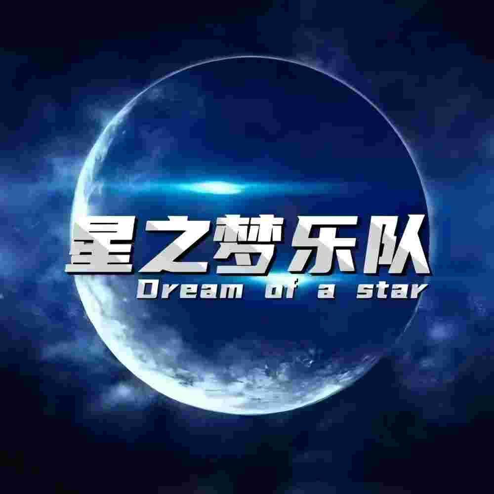 侧脸 (DJ版)封面