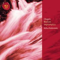 Chopin: Waltzes & Impromptus - Classic Library Series