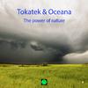 Tokatek - Unconditional Love (Original Mix)