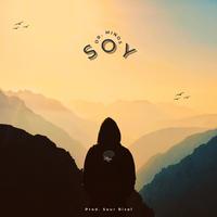 Soy