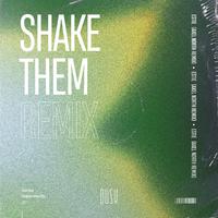 Shake Them (Axel North Remix)