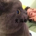 我的将军啊 (DJ韩子曦版) - 戏语封面