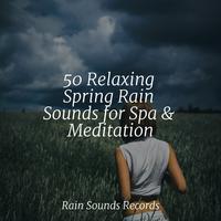 50 Relaxing Spring Rain Sounds for Spa & Meditation