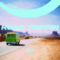 Road Trippin: The Perfect Soundtrack for a Road Trip by Hoop Records