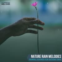 Nature Rain Melodies - Rainfall Sounds for Gloomy Days