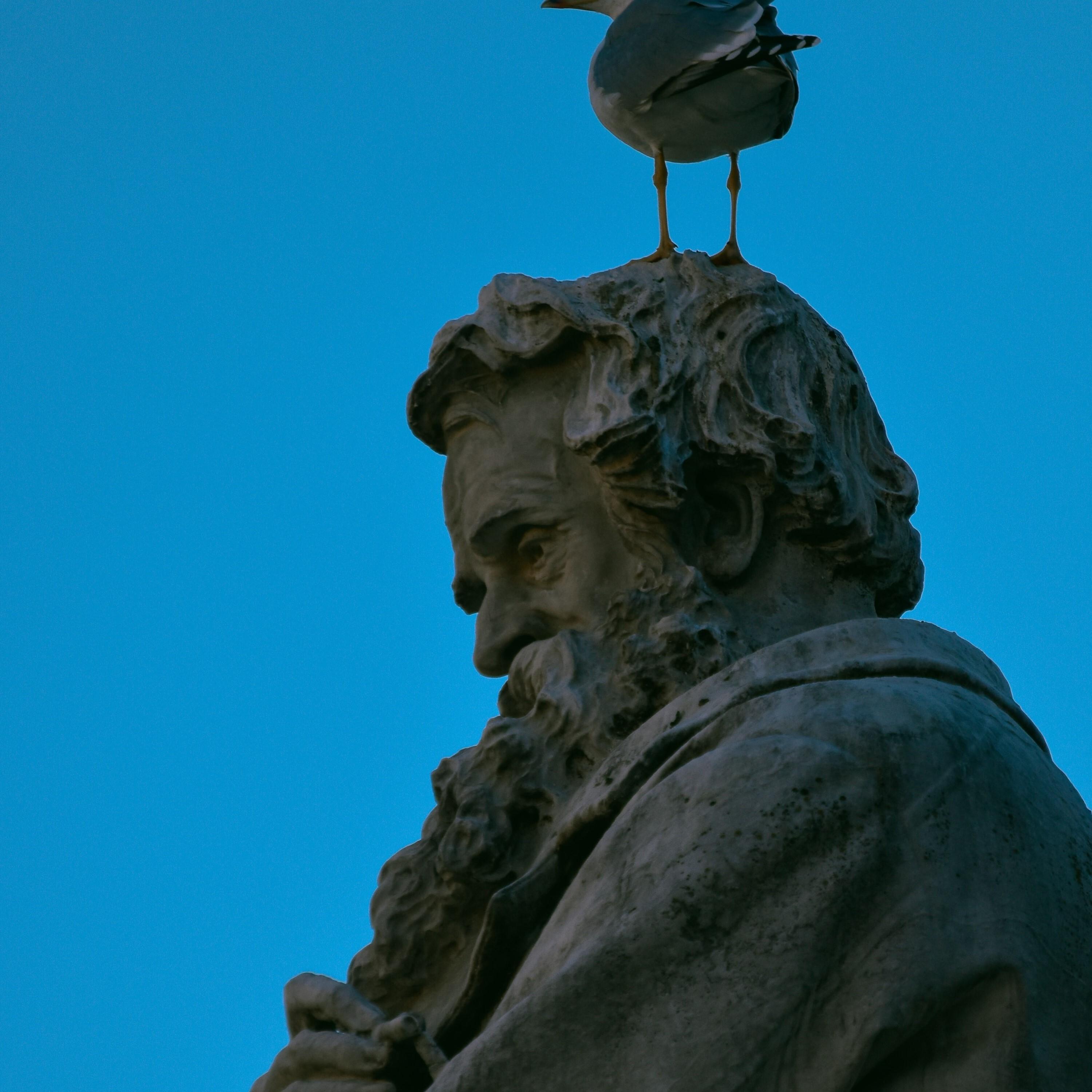 cats and boots (feat. Curryø)