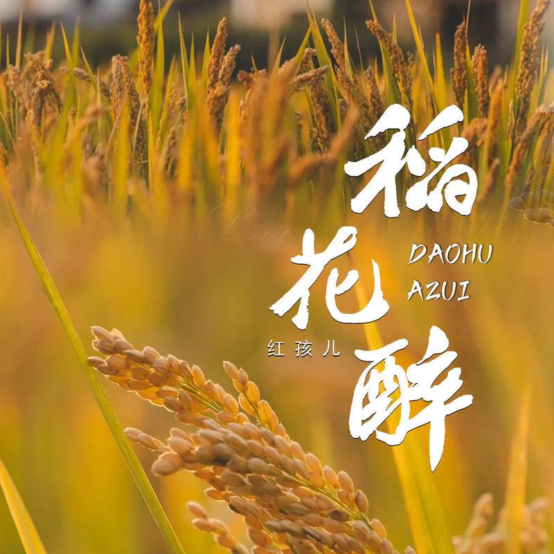 稻花醉(DJ版)封面