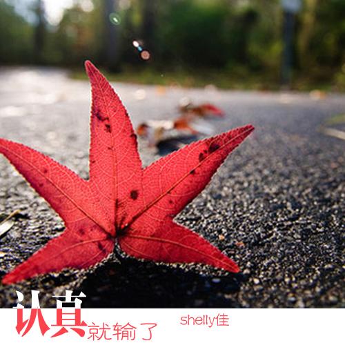 认真就输了封面