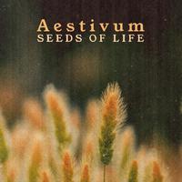 Aestivum