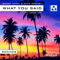 What You Said [Remixes]