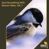 Soul Nourishing With Nature Vibes, Vol. 7