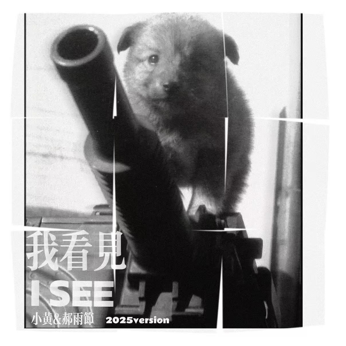 我看见封面