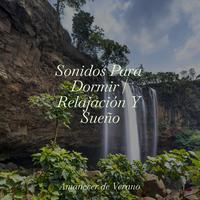 Sonidos Para Dormir | Relajación Y Sueño