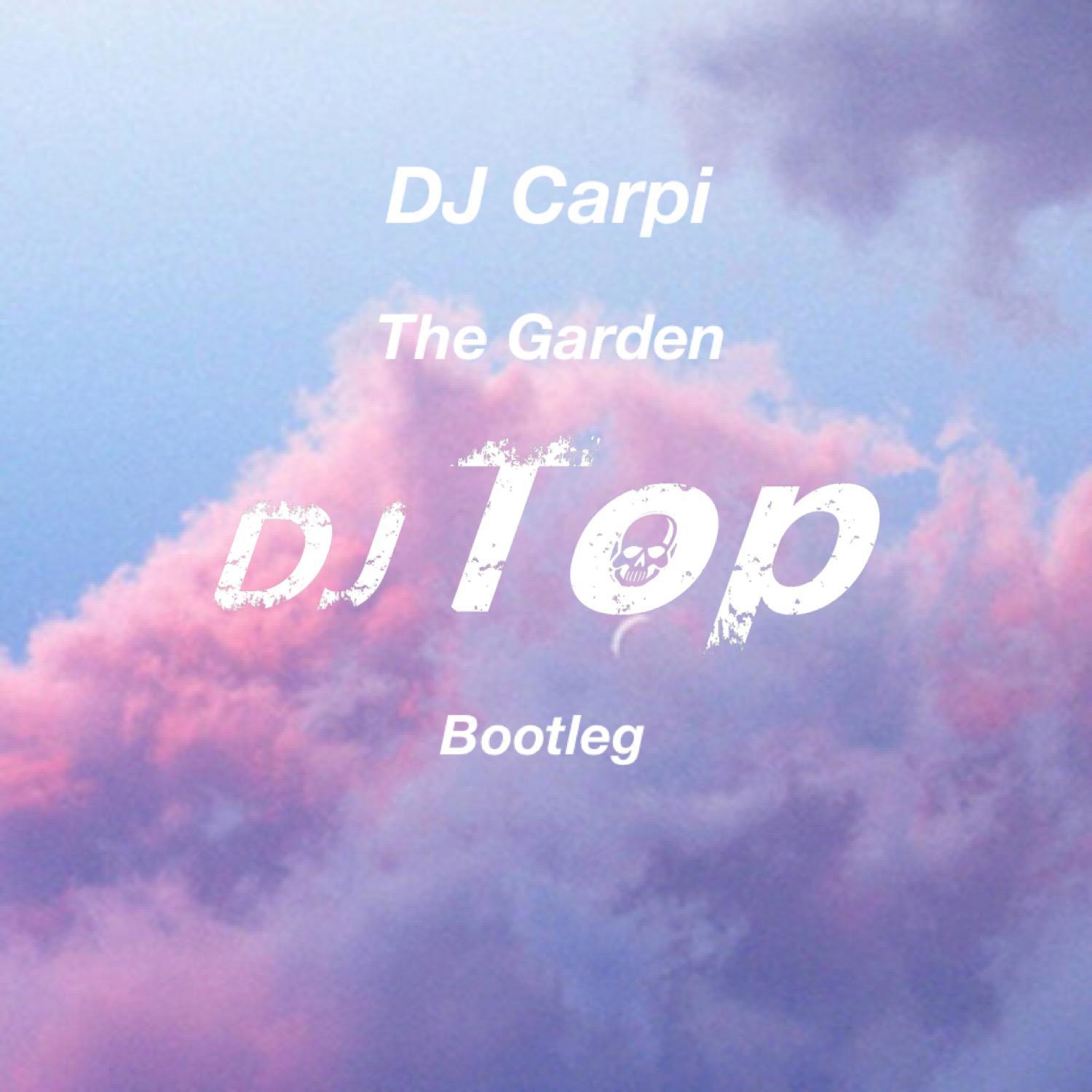 DJ CarpiThe Garden (DJ Top Bootleg)（DJ Top remix） DJ Top 单曲 网易云音乐