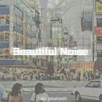 Beautiful Noise