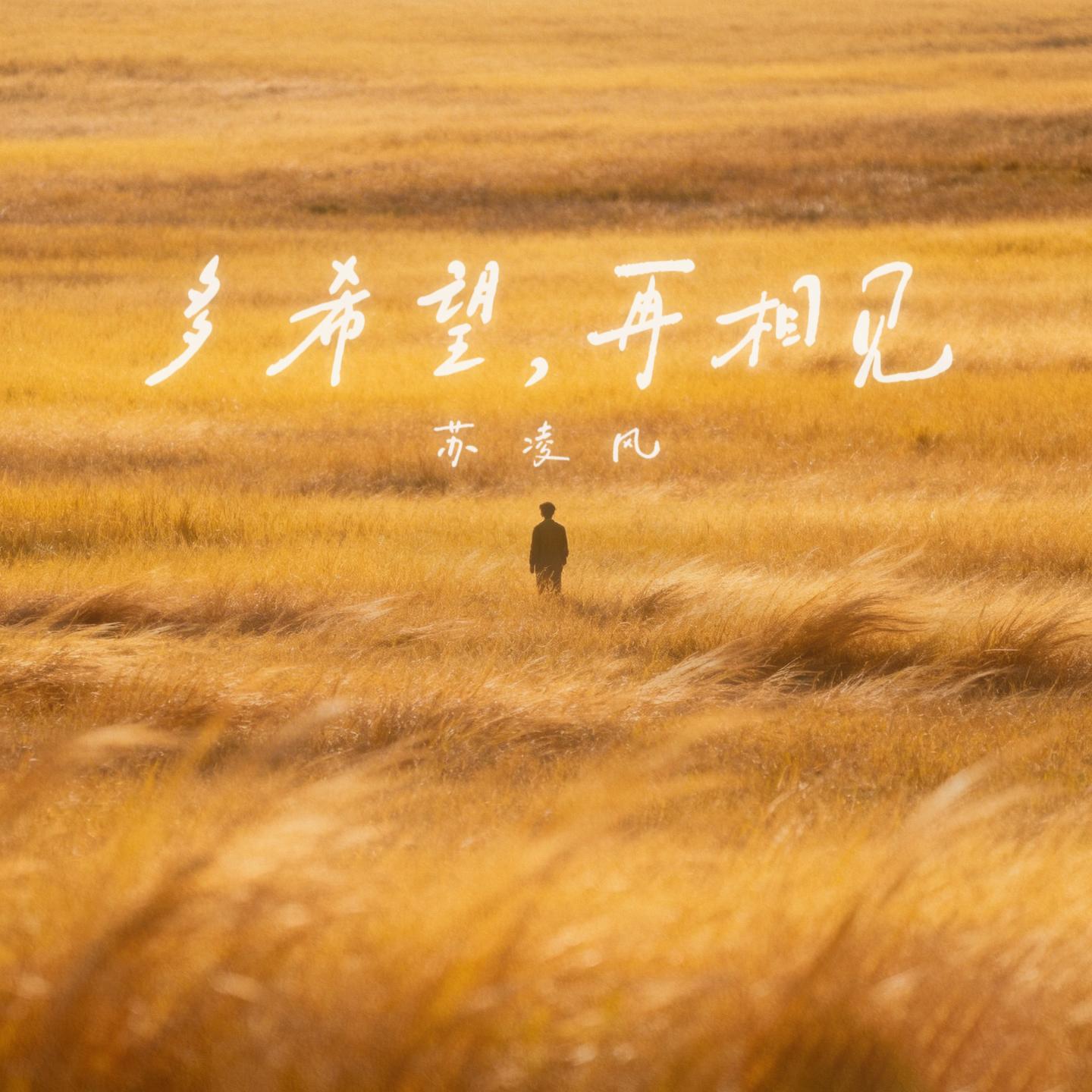 多希望，再相见