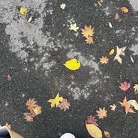 Q资料,Q最新歌曲,QMV视频,Q音乐专辑,Q好听的歌