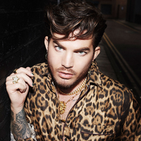 Adam Lambert