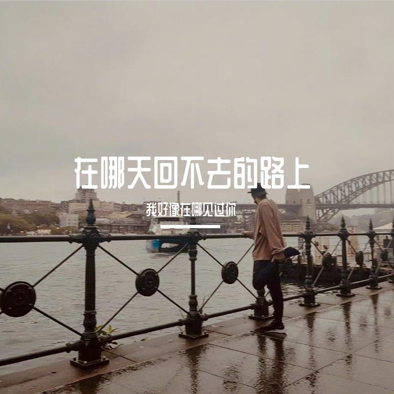 在那天回不去的路上（Live）封面