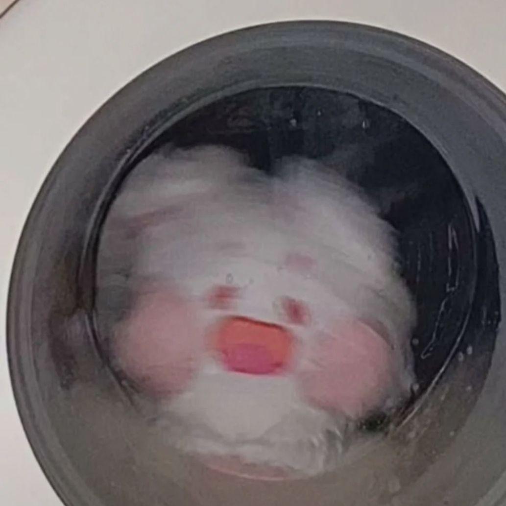 一个人唱情歌封面