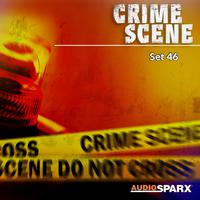 Crime Scene, Set 46