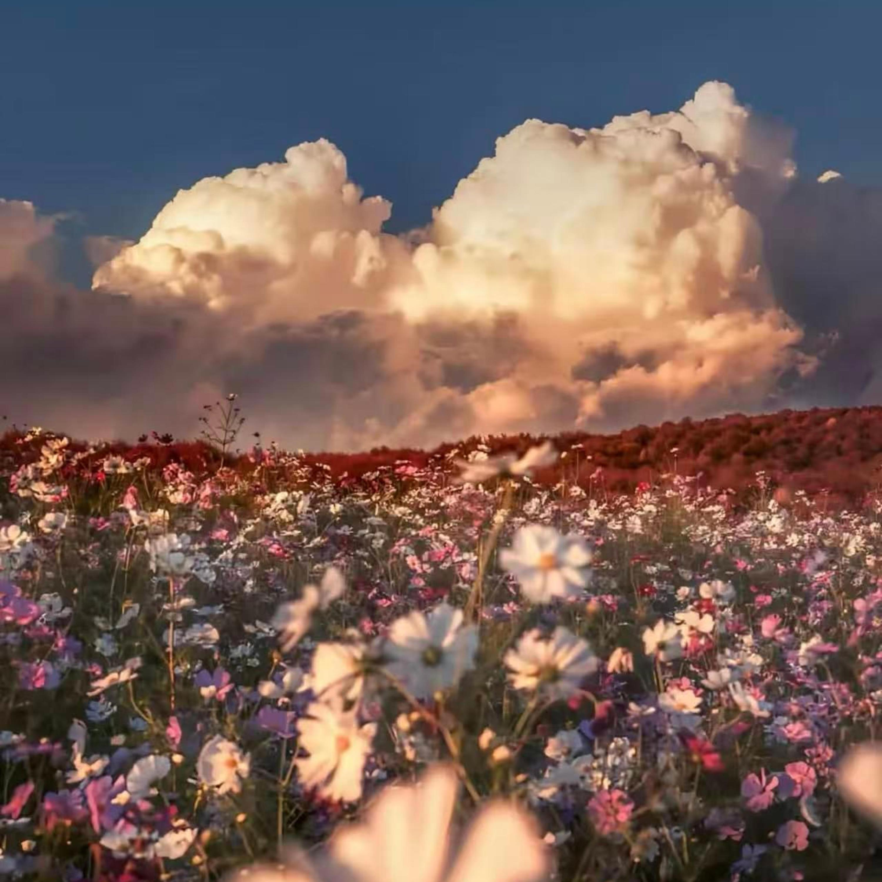 山高水阔我们都要向前