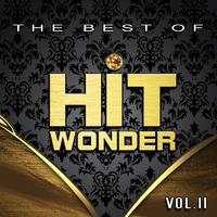 Hit Wonder: The Best Of, Vol. 11